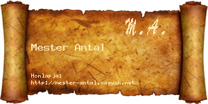 Mester Antal névjegykártya